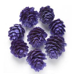 10pcs/lot Dried Flowers Pinecone Natural Plants For Epoxy Resin Pendant Homemade Candle Making Craft Nail Art Accessories
