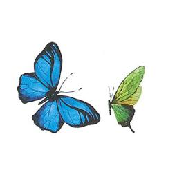 5 Pcs Hand-Painted Beautiful Fantasy Butterfly Waterproof Female Collarbone Arm Sexy Simulation Tattoo Stickers