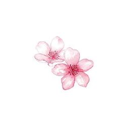 5 Pcs Sakura Beautiful Girl Tattoo Stickers Waterproof Female Lasting Small Fresh Cherry Blossom Love Peach Flower