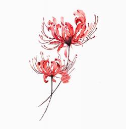 6 Pcs Sexy Net Red Other Shore Flower Tattoo Stickers Chest Durable Waterproof Collarbone Ankle Female Red Tattoo