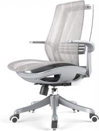 Desk Chair Executive Office Chair Swivel Chair, Ergonomic Mesh Office Chair with Roller Blade Wheels, Ridiculously Comfortable High Back Computer Desk Chair and Fully Adjustable for Home Conference