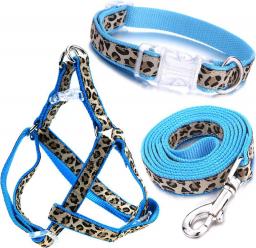 Dog Collar, Harness and Leash | Blue Leopard Design | Small
