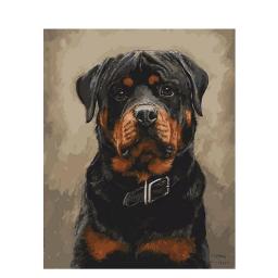 Dog Painting With By Number Animal DIY Kits On Canvas For Drawing Coloring Handmade With Framed Picture By Number Home Decortion