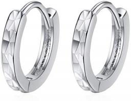 Earrings Women Studs Women Earrings 925 Sterling Silver Jewelry Trendy Simple Geometric Hoop Earring Lady Engagement Accessories