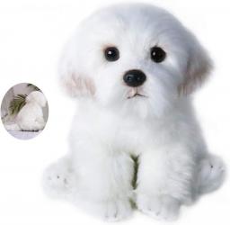 FAONIE Realistic Plush Maltese Dog, Stuffed Animal Puppy Dog Toys, For Kids Adult Birthday, White,