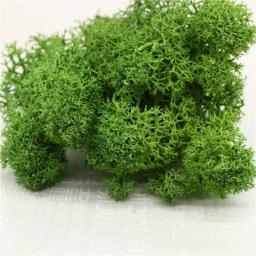 High quality artificial green plant immortal fake flower Moss grass home living room decorative wall DIY flower mini accessories
