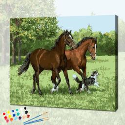 Horse Oil Painting By Number With 40x50 Frame On Canvas Acrylic Paint For Adults Coloring By Number Drawing Picture Home Wall Ar