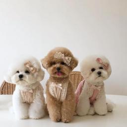 New Summer Flower Dog Clothes Lace Sling Dress For Small Dogs Cotton Bichon Teddy Dog Skirt Pet Clothes Cute Puppy Dog Clothing