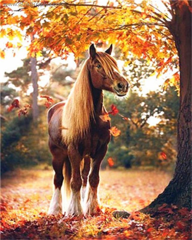 Paint by Numbers Horse Diy Oil Painting by Numbers on Canvas Animals Number Painting Home Decor