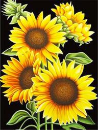 Paint By Numbers Kits On Canvas Sunflowers Diy Oil Painting By Numbers Handpaint Wall Art Home Decor
