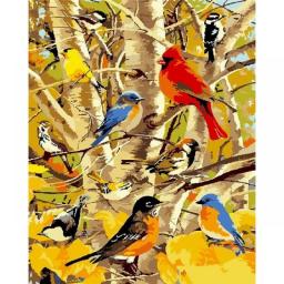 PhotoCustom 40x50cm Paint By Numbers For Adult Birds DIY Oil Painting By Numbers On Canvas Animals Wall Art Home Decor