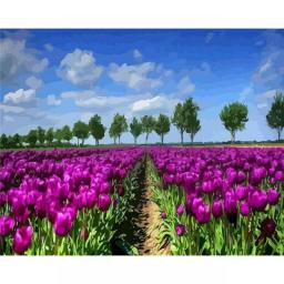PhotoCustom Paint By Numbers Lavender Scenery 60x75cm Oil Painting By Numbers On Canvas Flowers Frameless DIY Handpaint Decor