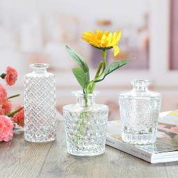 Simple Transparent Glass Small Vase Decoration Living Room Flower Home Vases For Flowers Aromatherapy Bottle