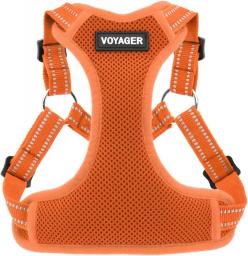 Voyager by Best Pet Supplies - Fully Adjustable Step-in Mesh Harness with Reflective 3M Piping - Orange (Matching Trim), X-Small
