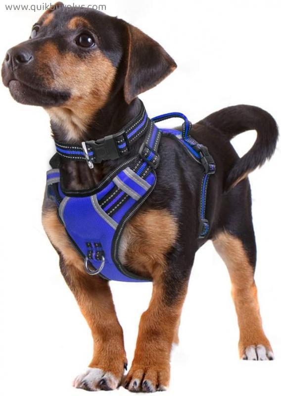 WINSEE Dog Harness No Pull, Pet Harnesses with Dog Collar, Adjustable Reflective Oxford Outdoor Vest, Front/Back Leash Clips for Small, Medium, Large, Extra Large Dogs, Easy Control Handle for Walking