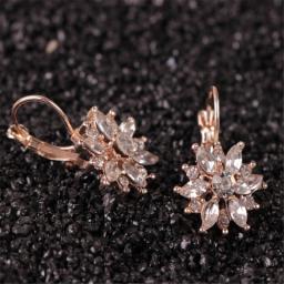 Women Ice flower Stud Earrings Crystal Vintage Korean Earrings Trendy Cute Lovely Drip Flower Shiny Wholesale
